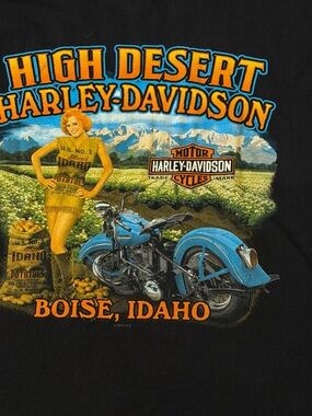 Harley Davidson Mens Graphic Shirt Size 4X High Desert Boise Idaho Black 2013